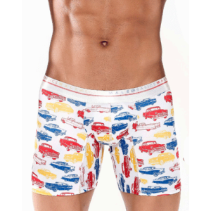 MaleBasics Hipster Boxer Brief MB202