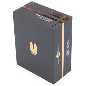 Secret Kisses Dual Motor Clitoral Vibrator Grey box